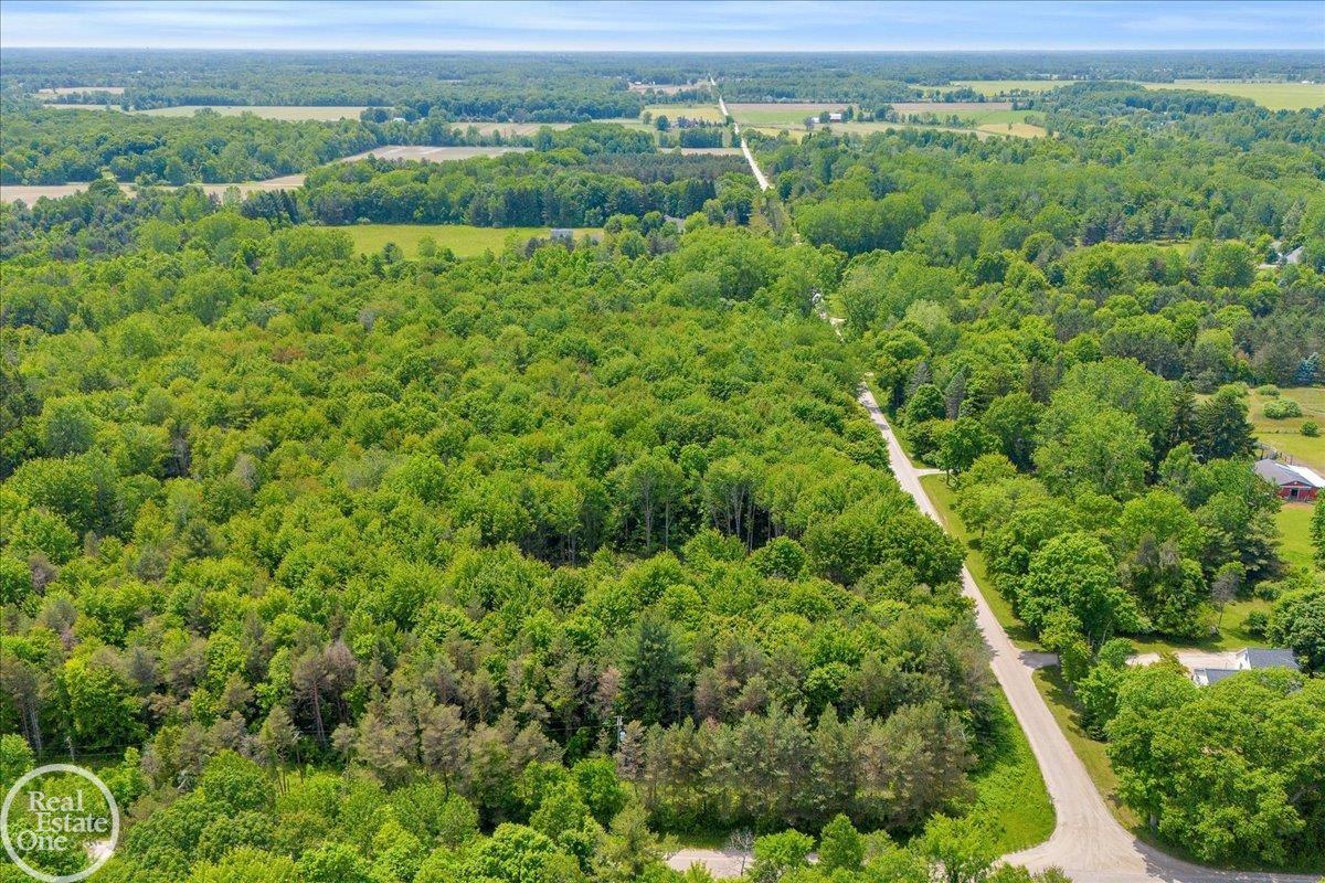 7515 Rynn Road Avoca, MI 48006 - Photo 4 of 9