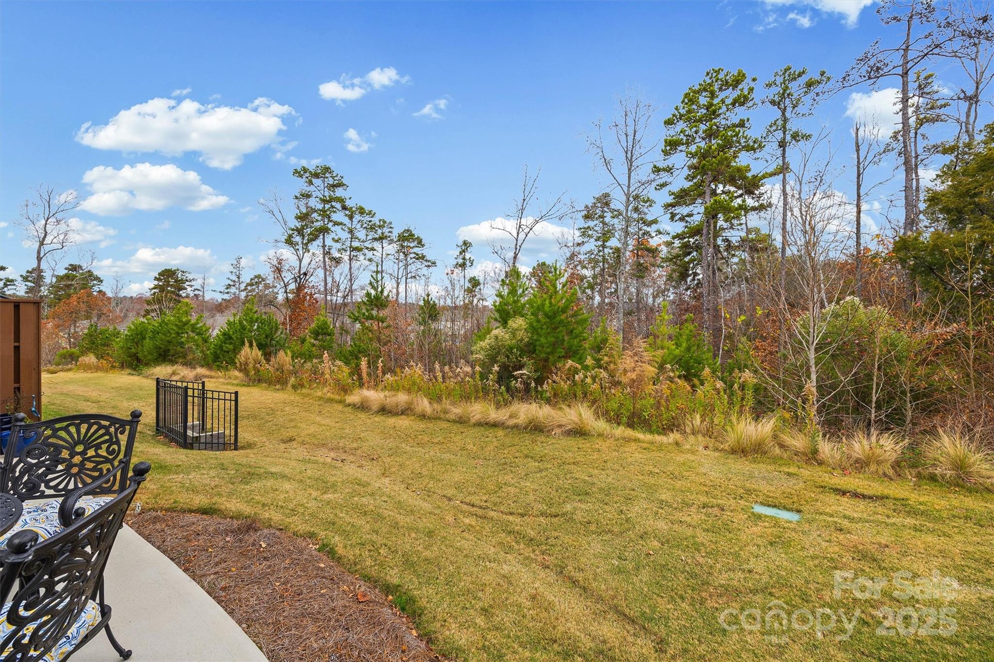 632 Amber Meadows Way Tega Cay, SC 29708 - Photo 36 of 48 a view of an outdoor space and a yard