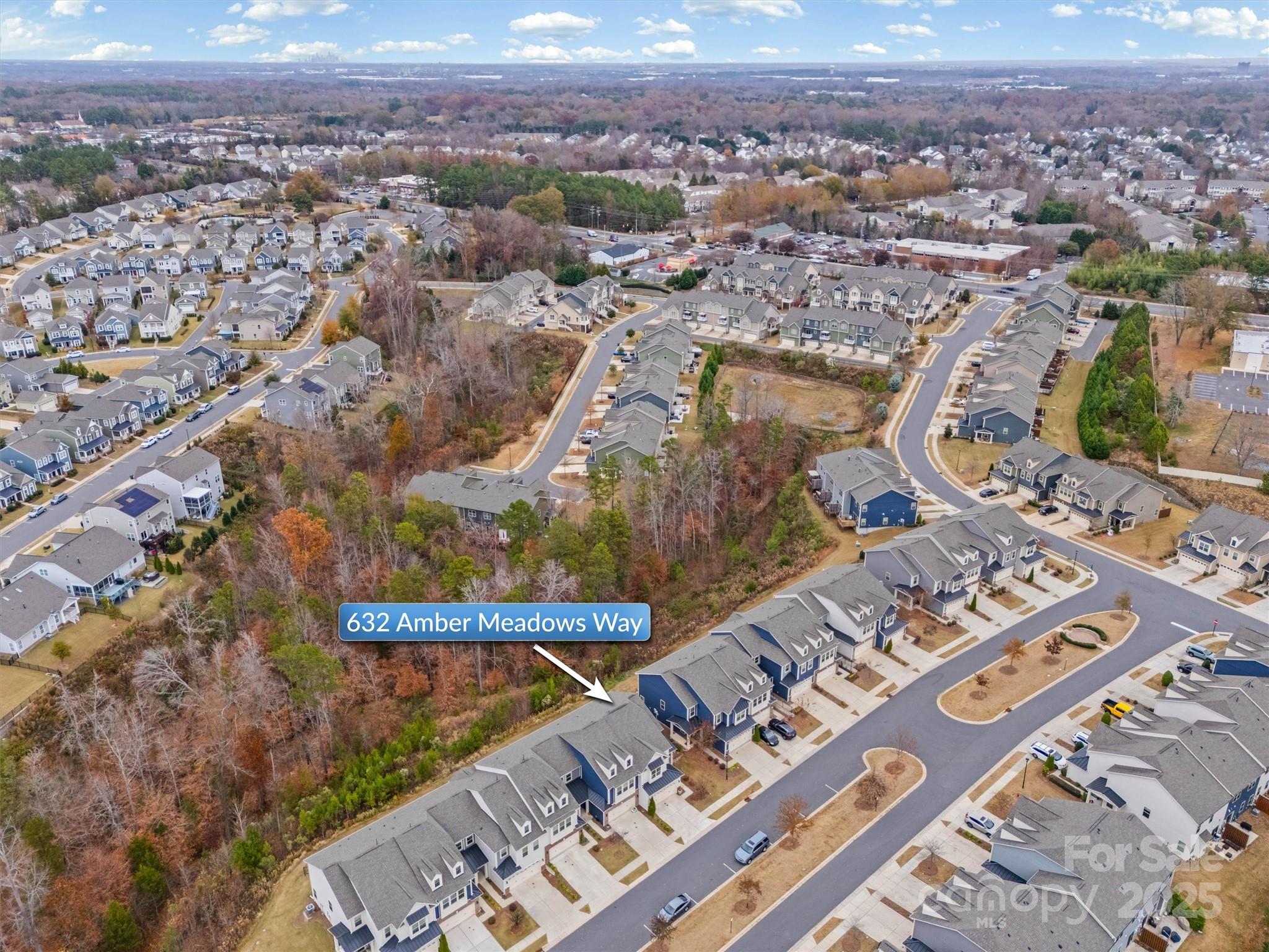 632 Amber Meadows Way Tega Cay, SC 29708 - Photo 41 of 48 an aerial view of a city