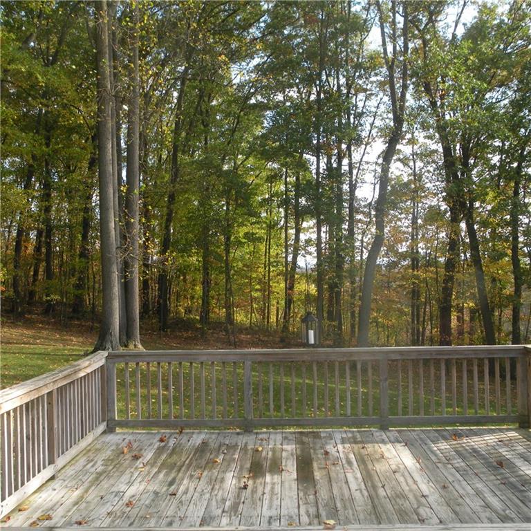 664 Donohoe Road Latrobe, PA 15650 - Photo 19 of 25 Deck off kitchen overlooking the back yard