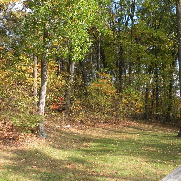 664 Donohoe Road Latrobe, PA 15650 - Photo 20 of 25 Backyard surrounded by trees