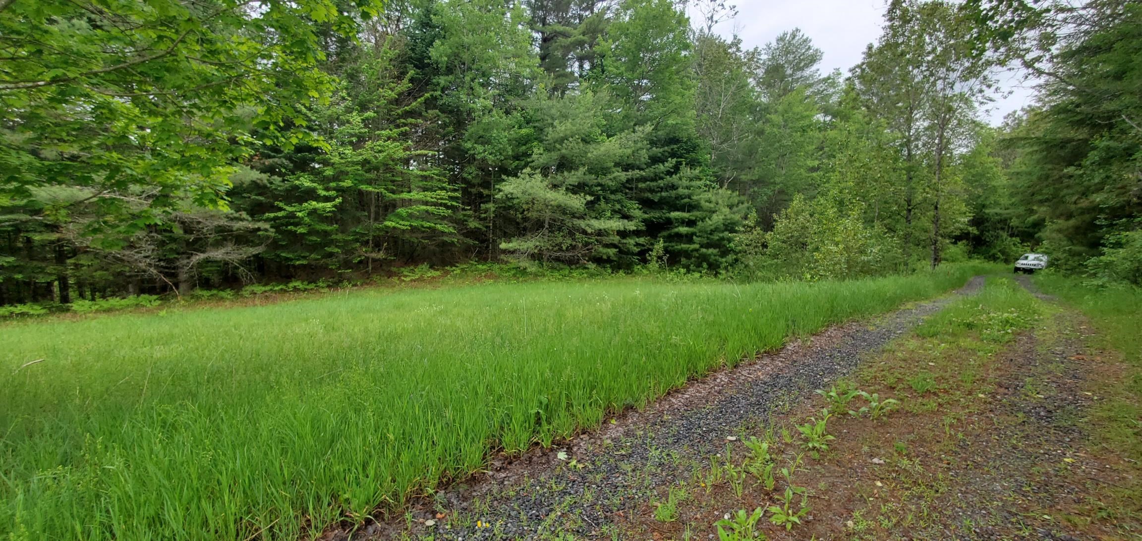 160 Bear Ridge Road, Unit 2 Burke, VT 05871 - Photo 8 of 9 Gallery Image 8