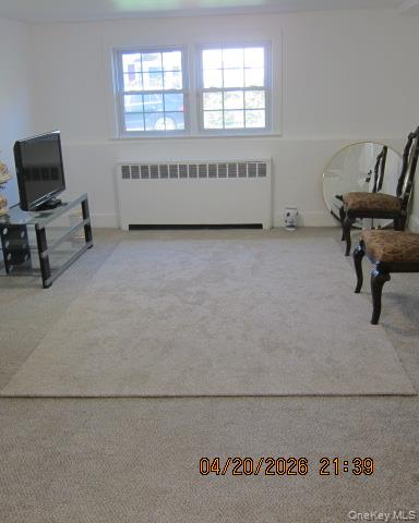93 Woodview Road West Hempstead, NY 11552 - Photo 14 of 25
