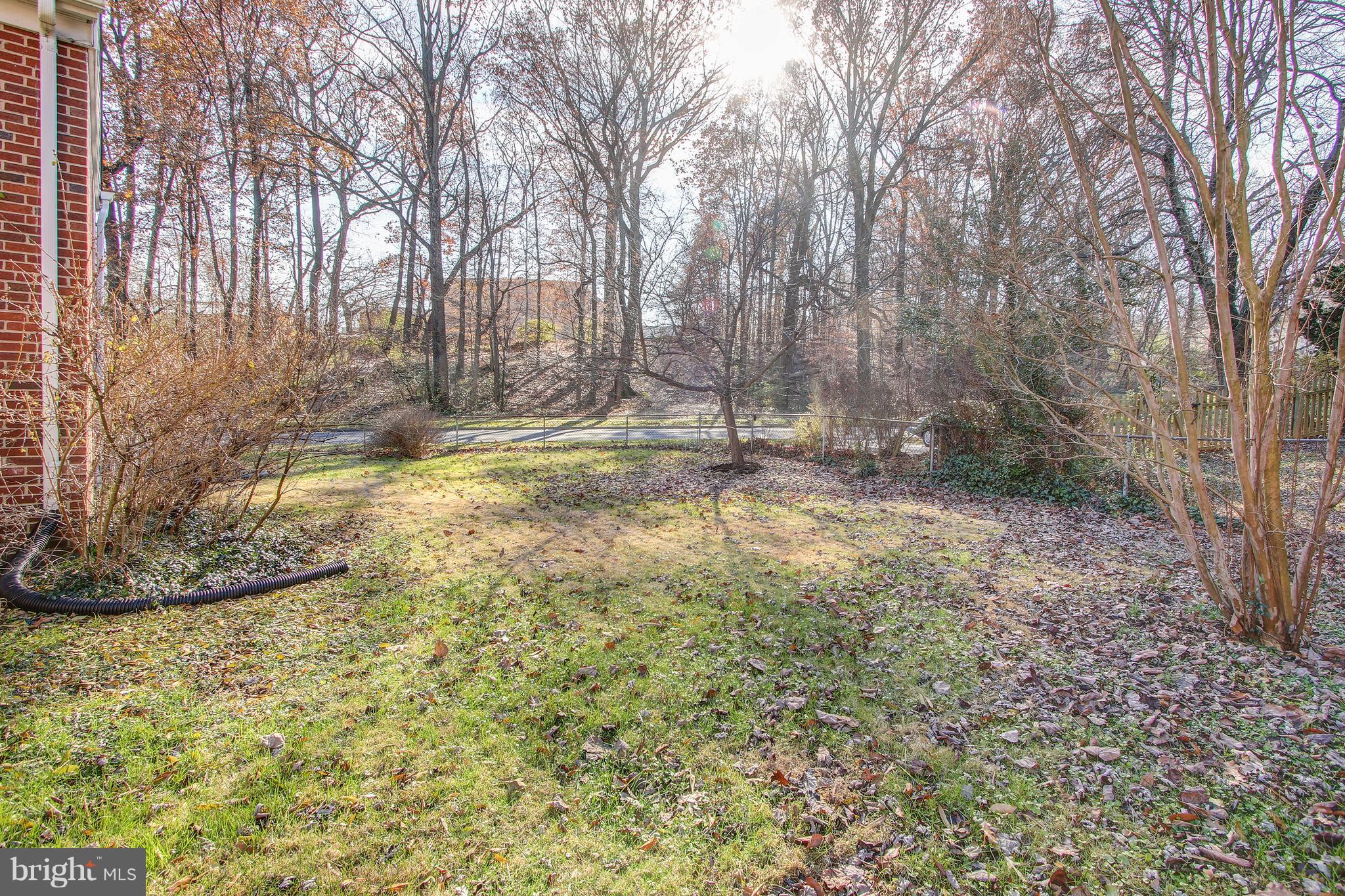 308 East Schuyler Road Silver Spring, MD 20901 - Photo 31 of 33