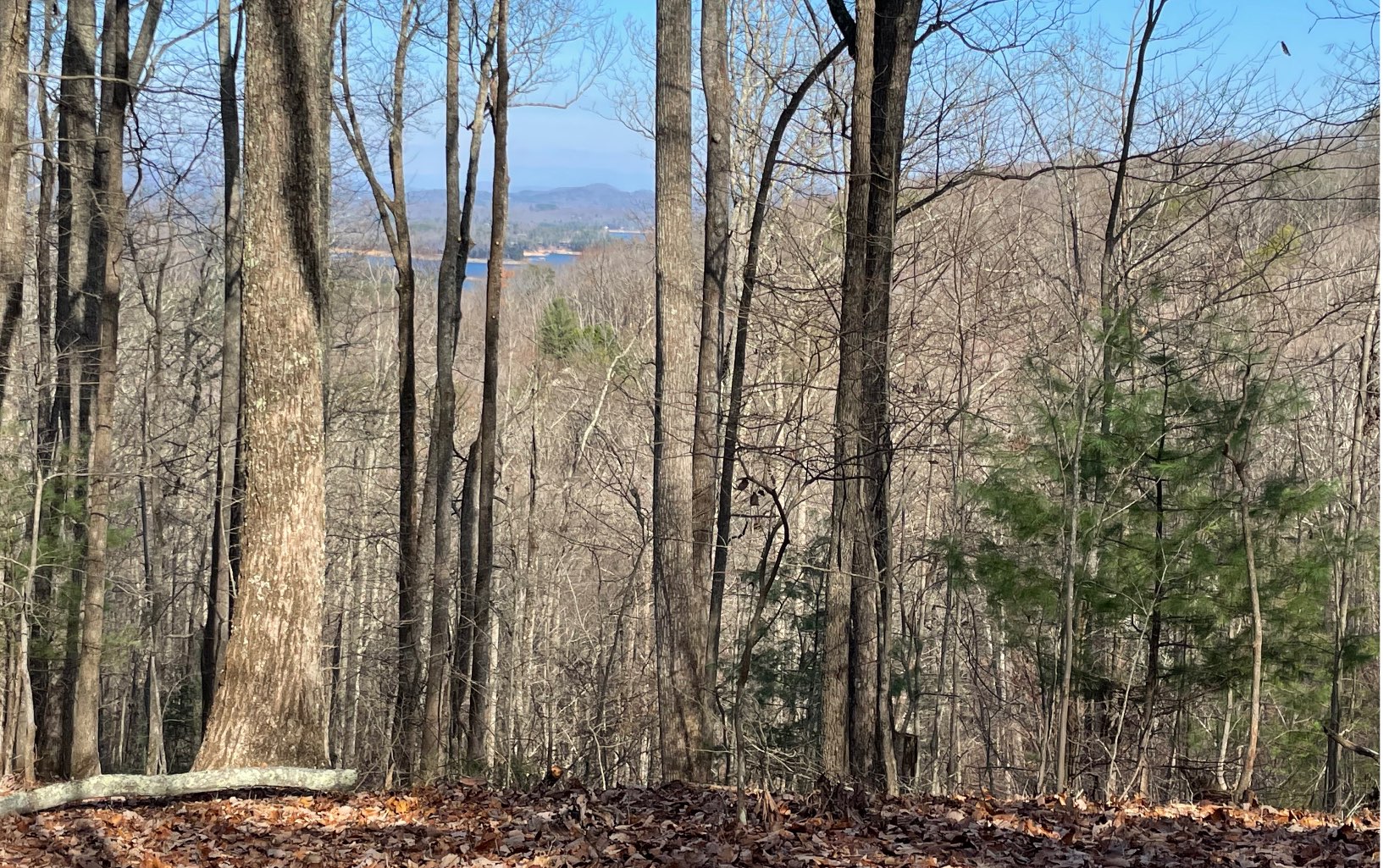 2.4 Green Ridge Road Blue Ridge, GA 30513 - Photo 25 of 28 Additional View