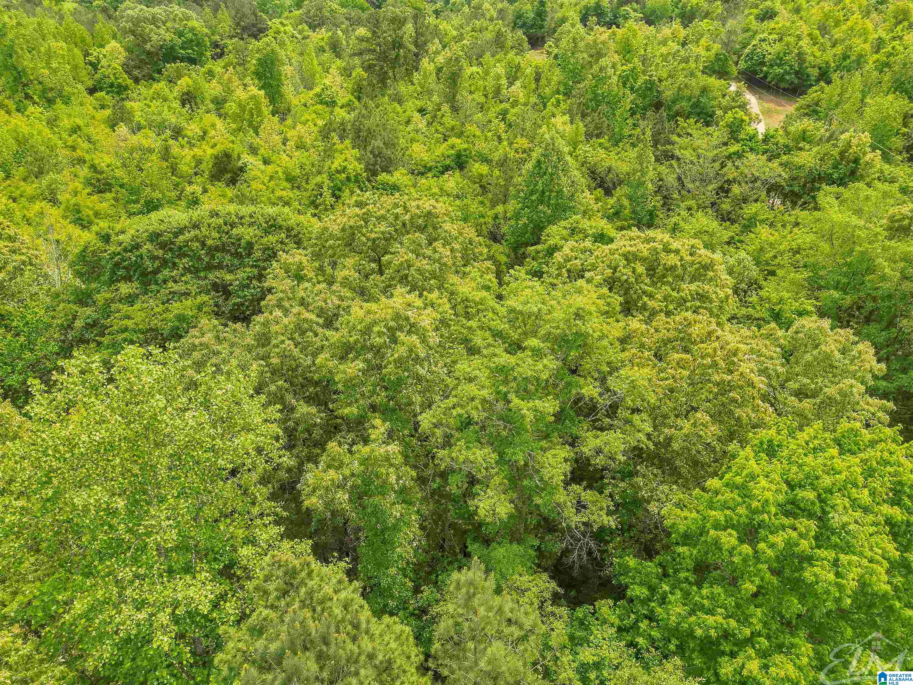 0 Moreland Road, Unit 1 Brierfield, AL 35035 - Photo 8 of 15
