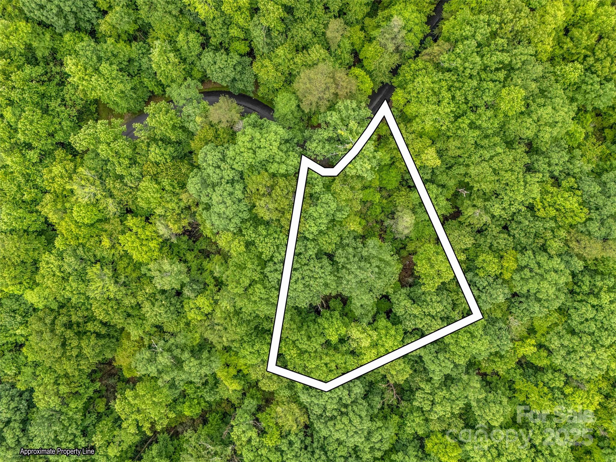 0 Quail Ridge Road, Unit 214 Tryon, NC 28782 - Photo 1 of 38