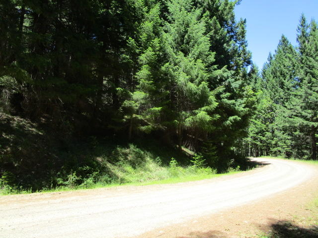 31 West Bank Road Bridgeville, CA 95526 - Photo 2 of 11 Lower West Side Rd