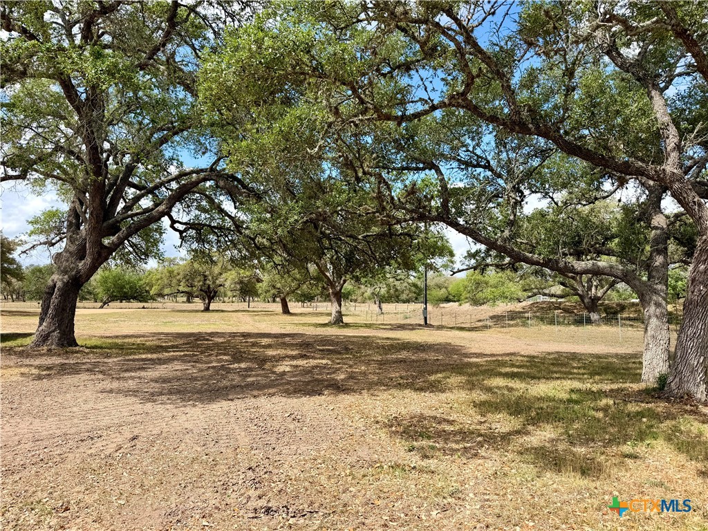 55 Rice Road Yoakum, TX 77995 - Photo 7 of 34