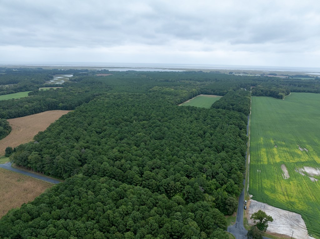 0 Whites Neck Road, Unit 140 Parksley, VA 23421 - Photo 4 of 10