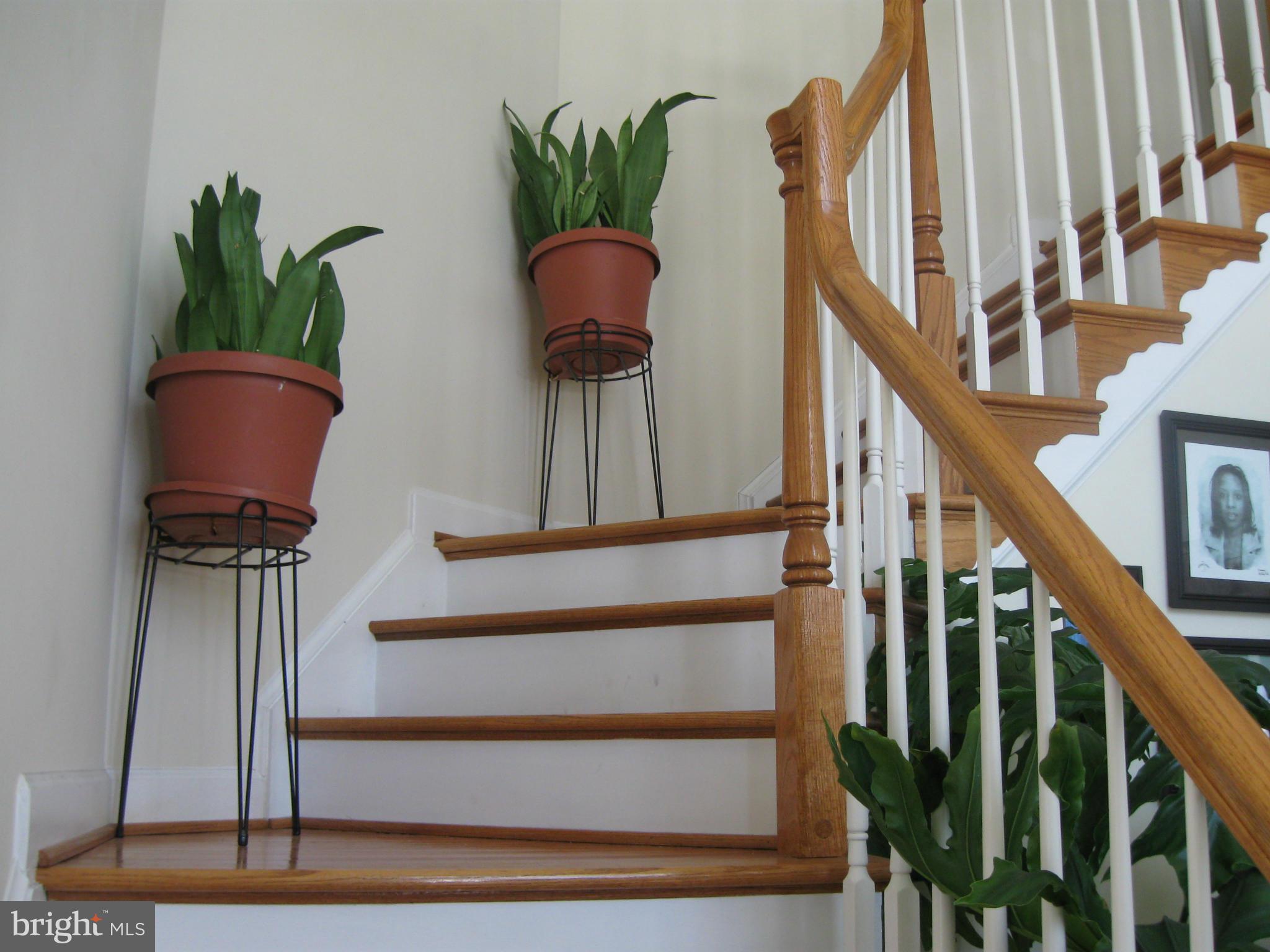 Dual entry to upper level