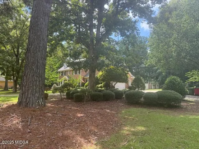 a view of backyard with green space