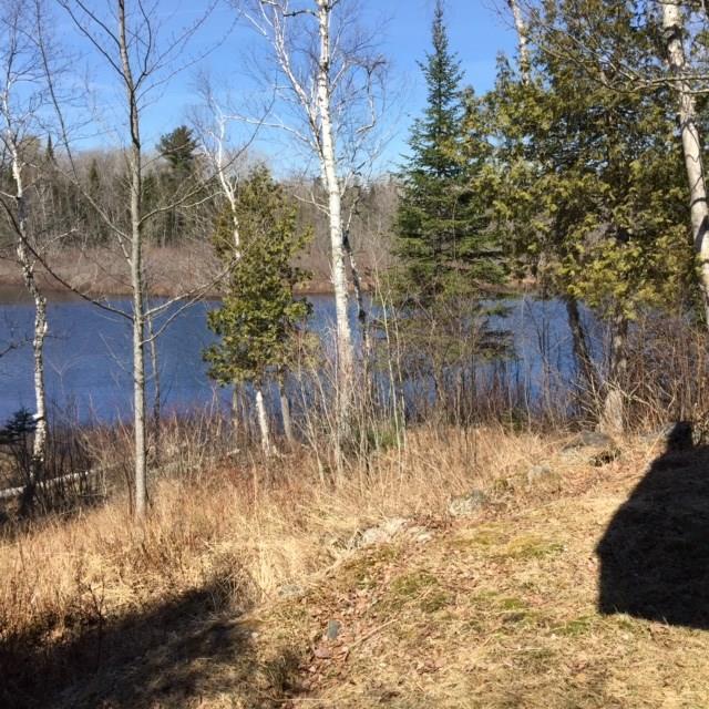 Shoreline of Wood Pond