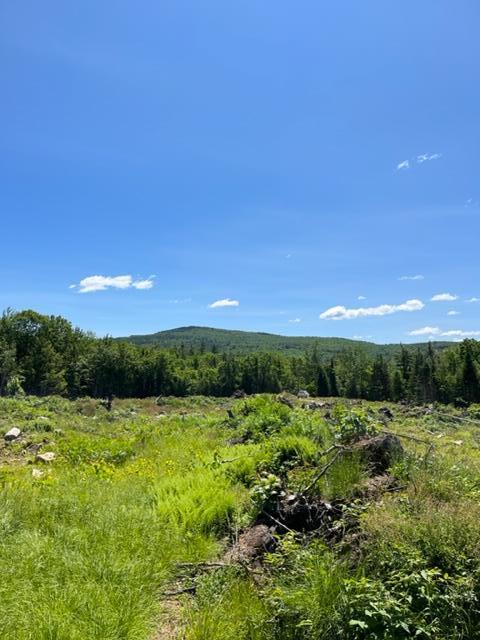 Tbd Stock Farm Road South Paris, ME 04281 - Photo 6 of 39 007views
