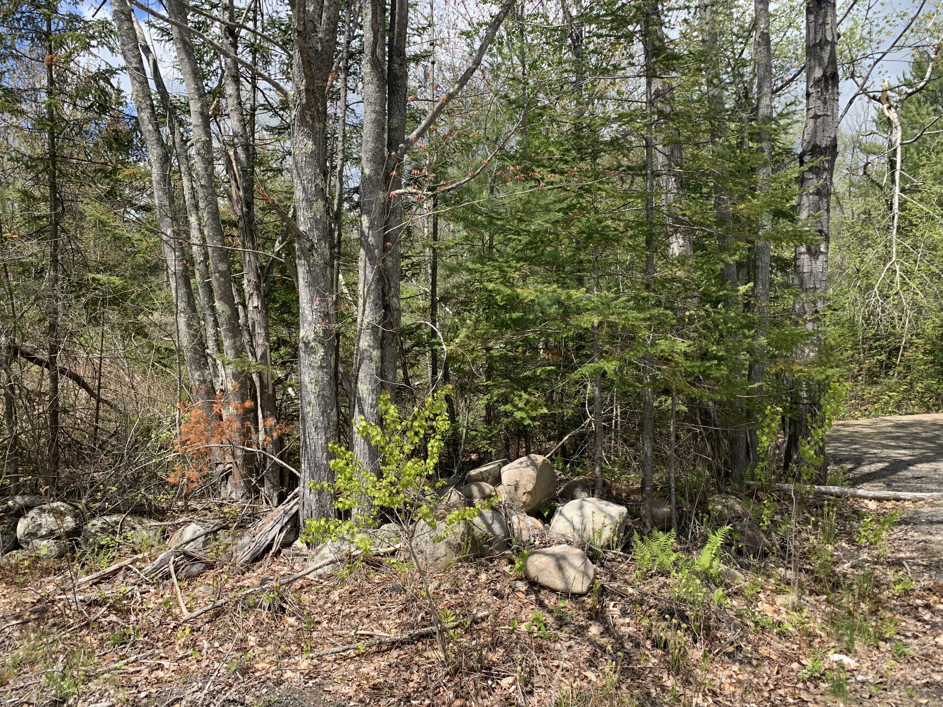 253 Academy Road Monmouth, ME 04259 - Photo 2 of 5 IMG_4527