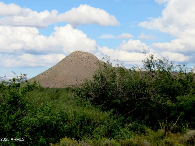 a view of a bunch of trees