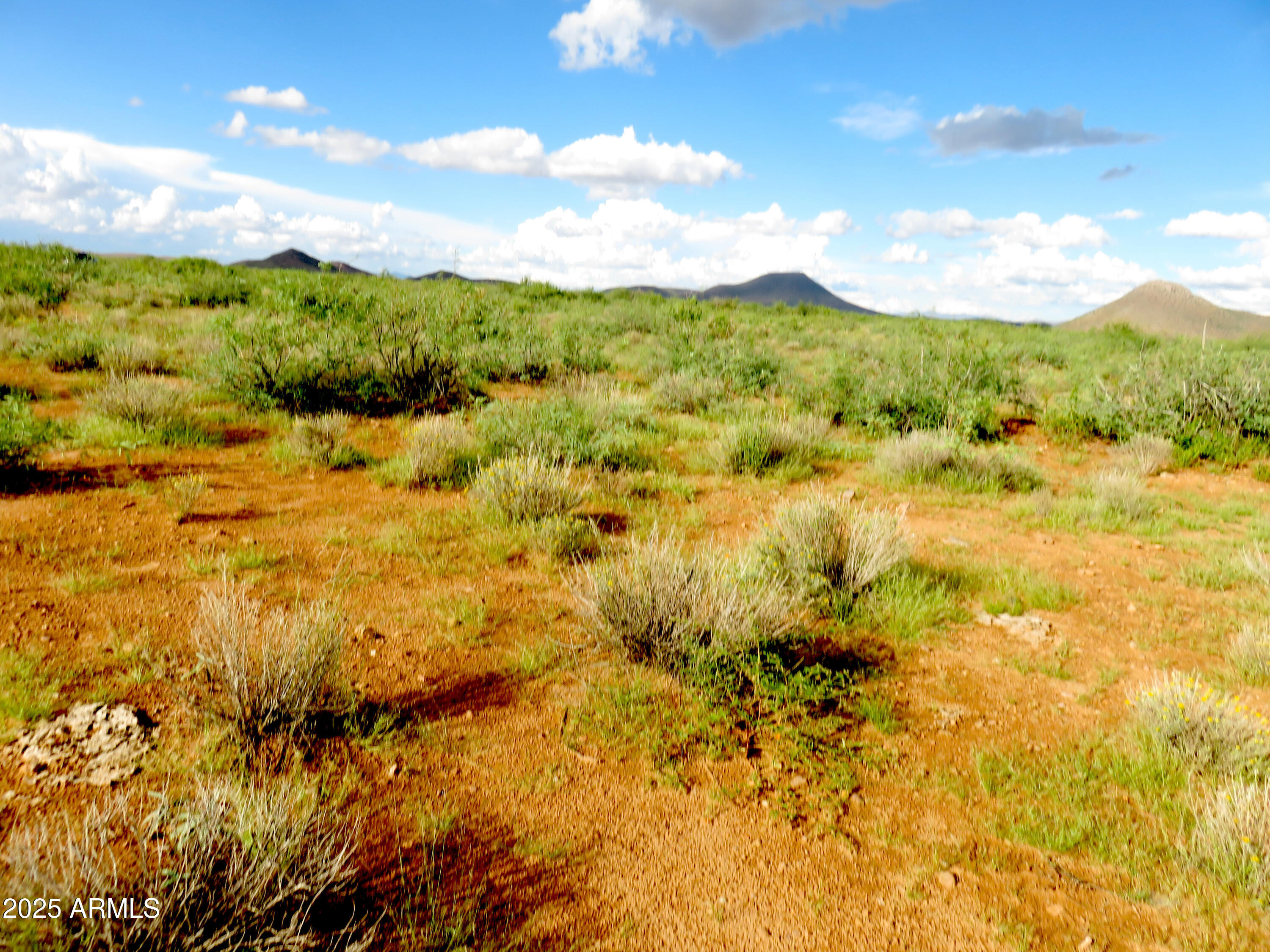 Tbd West Austin Henely Road, Unit 9 Elfrida, AZ 85610 - Photo 8 of 14 a view of mountains and valleys