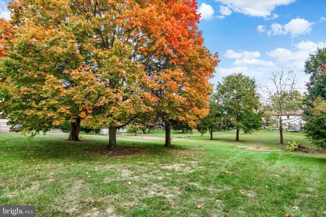 a view of grassy field with benches