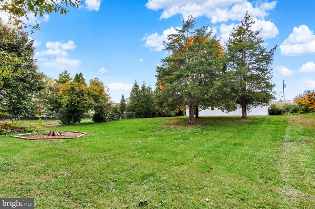 a view of a park with large trees