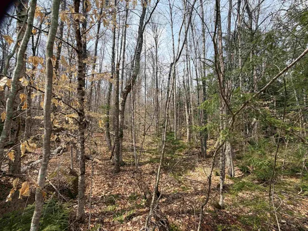 $34,900 | 0 Hickory Overlook Overlook, Unit OVERLOOK, Grantham, NH 03753