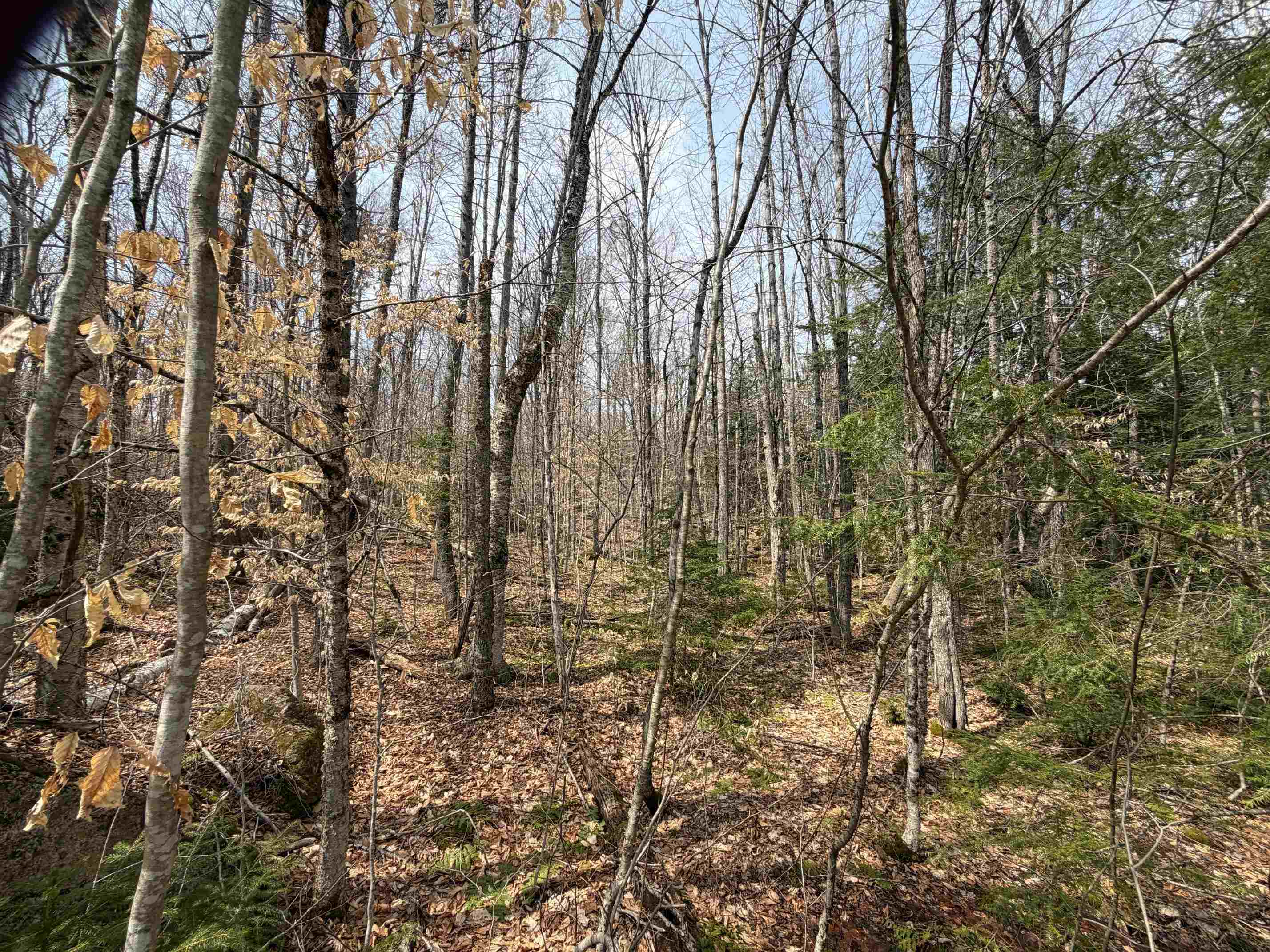 0 Hickory Overlook Overlook, Unit OVERLOOK Grantham, NH 03753 - Photo 2 of 10