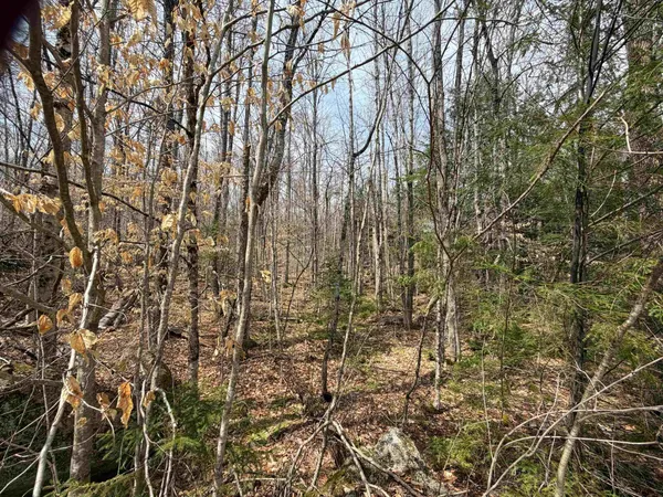 $34,900 | 0 Hickory Overlook Overlook, Unit OVERLOOK, Grantham, NH 03753