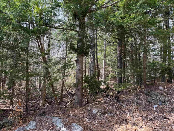 $34,900 | 0 Hickory Overlook Overlook, Unit OVERLOOK, Grantham, NH 03753