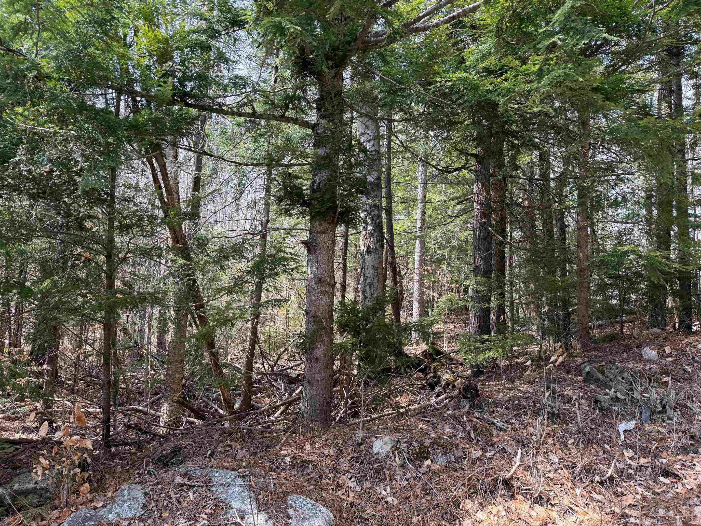 0 Hickory Overlook Overlook, Unit OVERLOOK Grantham, NH 03753 - Photo 4 of 10