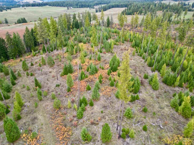 $152,000 | 2 Peaceful Valley Road, Kamiah, ID 83536