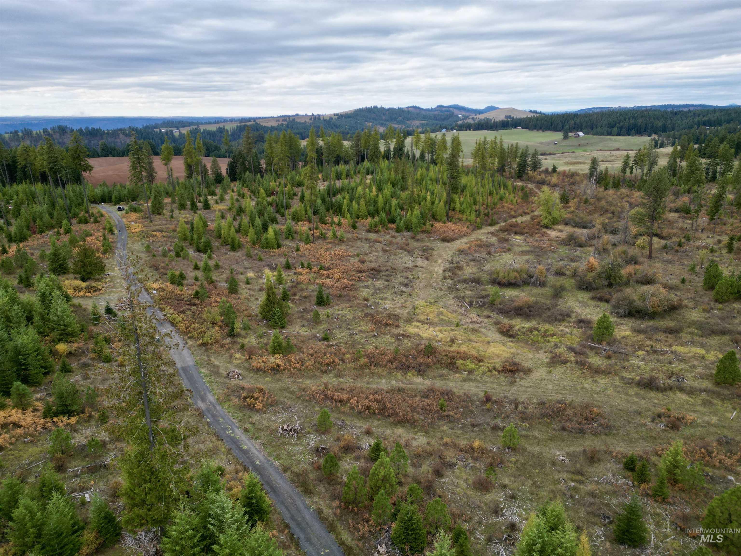 2 Peaceful Valley Road Kamiah, ID 83536 - Photo 5 of 10