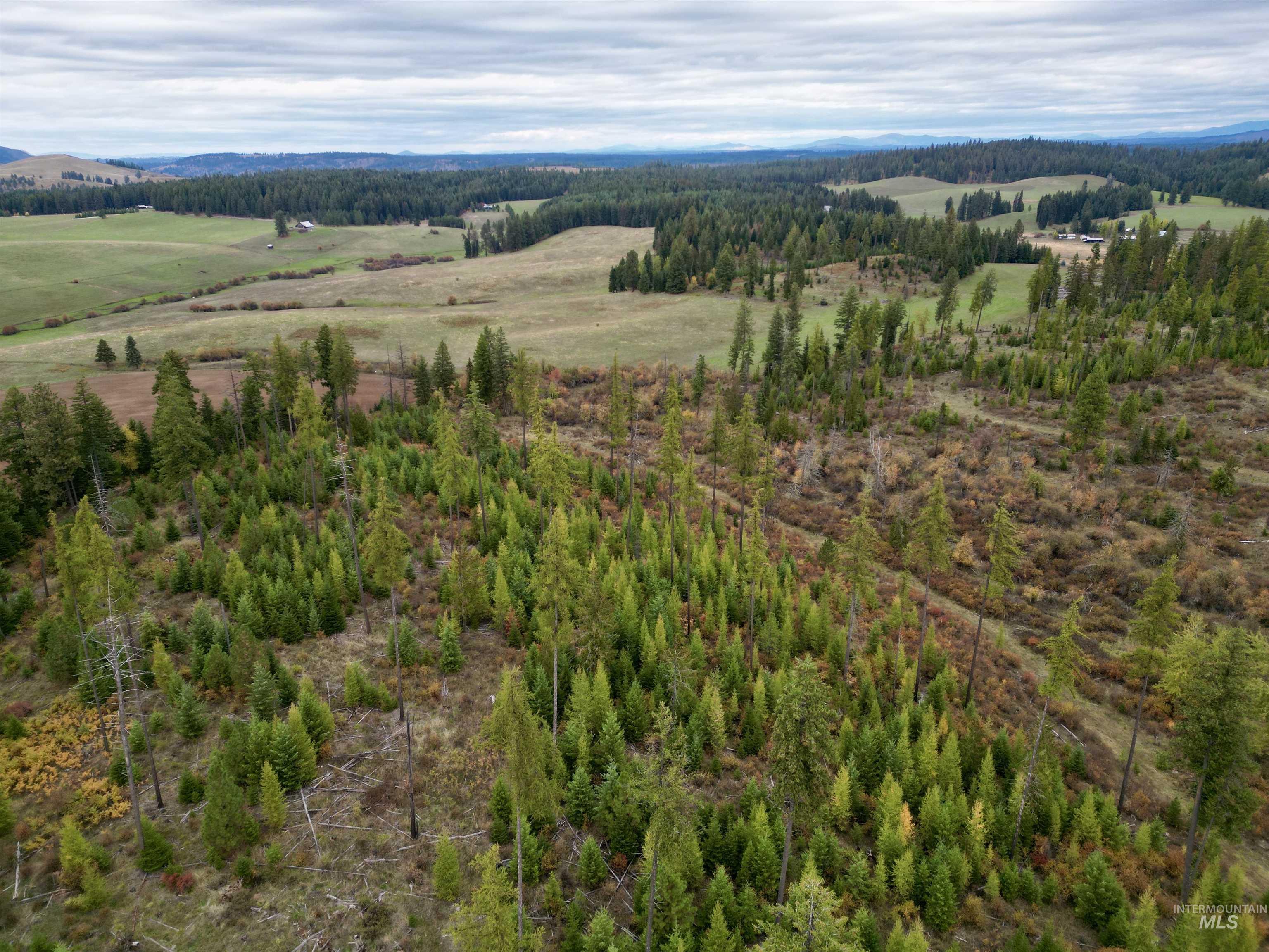2 Peaceful Valley Road Kamiah, ID 83536 - Photo 6 of 10
