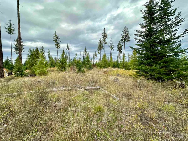 $150,000 | 2 Peaceful Valley Road, Kamiah, ID 83536