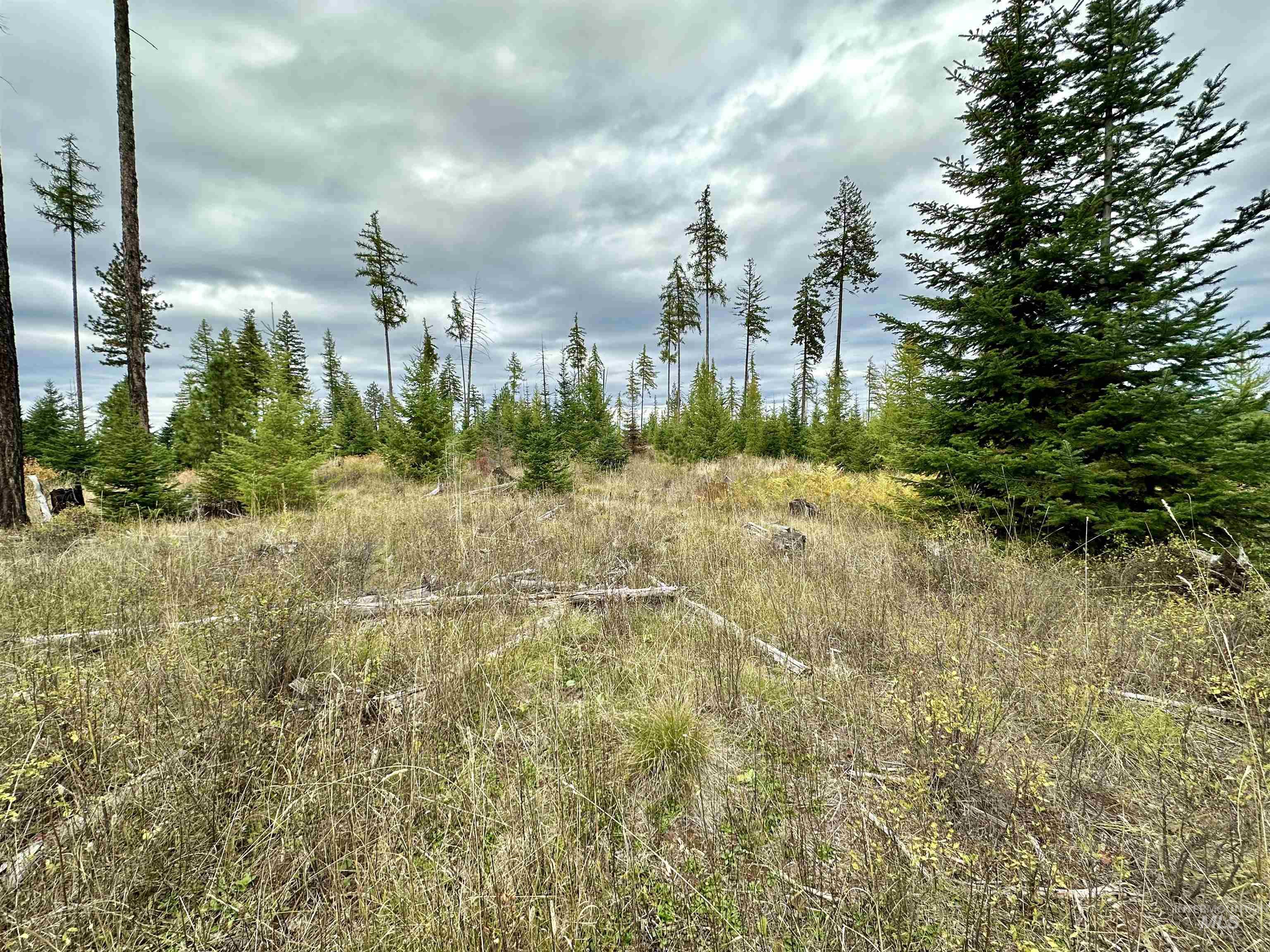 2 Peaceful Valley Road Kamiah, ID 83536 - Photo 8 of 10