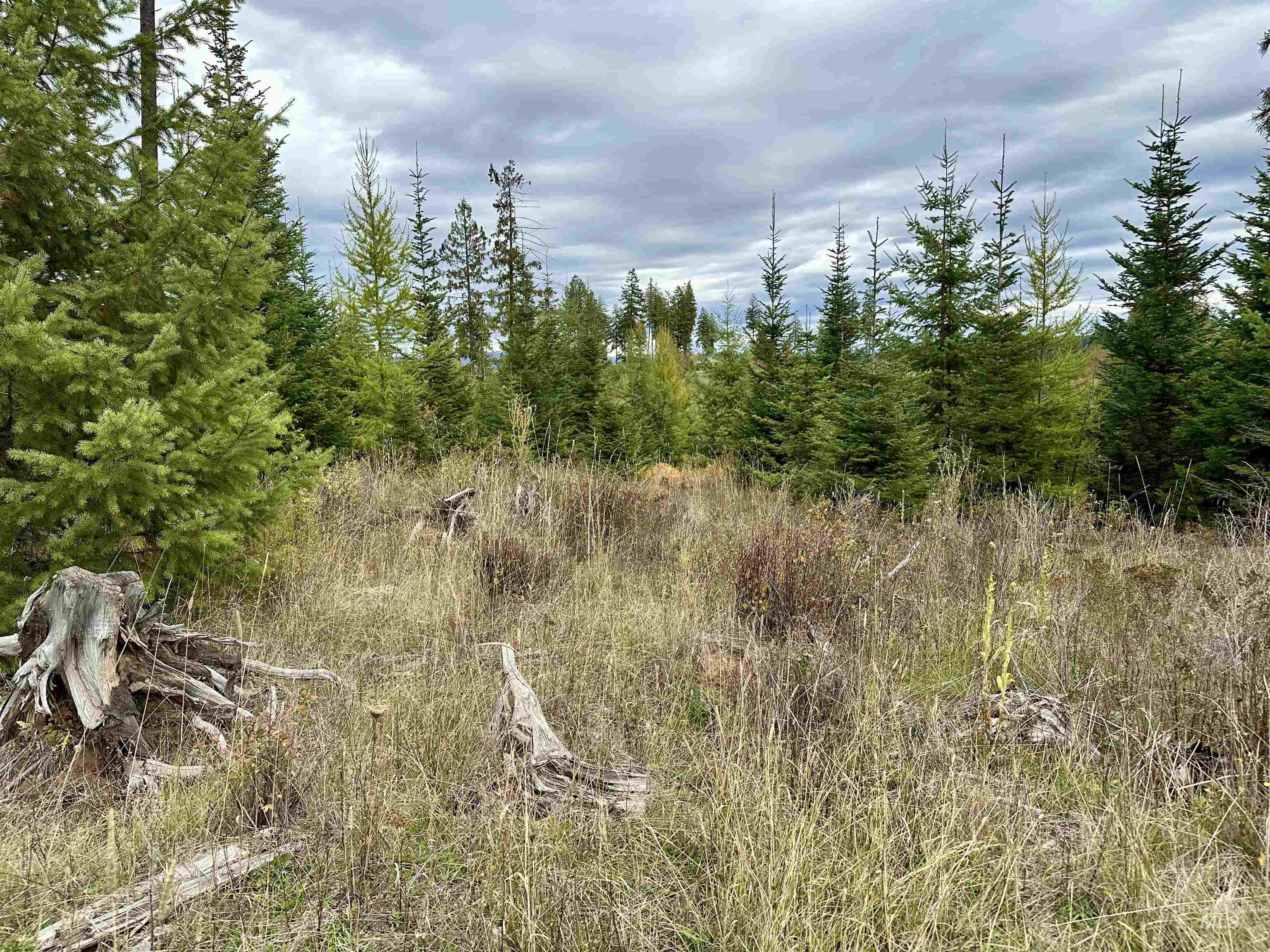 2 Peaceful Valley Road Kamiah, ID 83536 - Photo 9 of 10