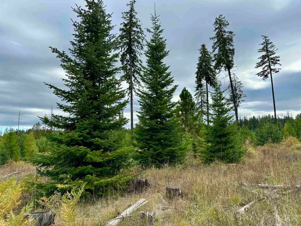 $150,000 | 2 Peaceful Valley Road, Kamiah, ID 83536