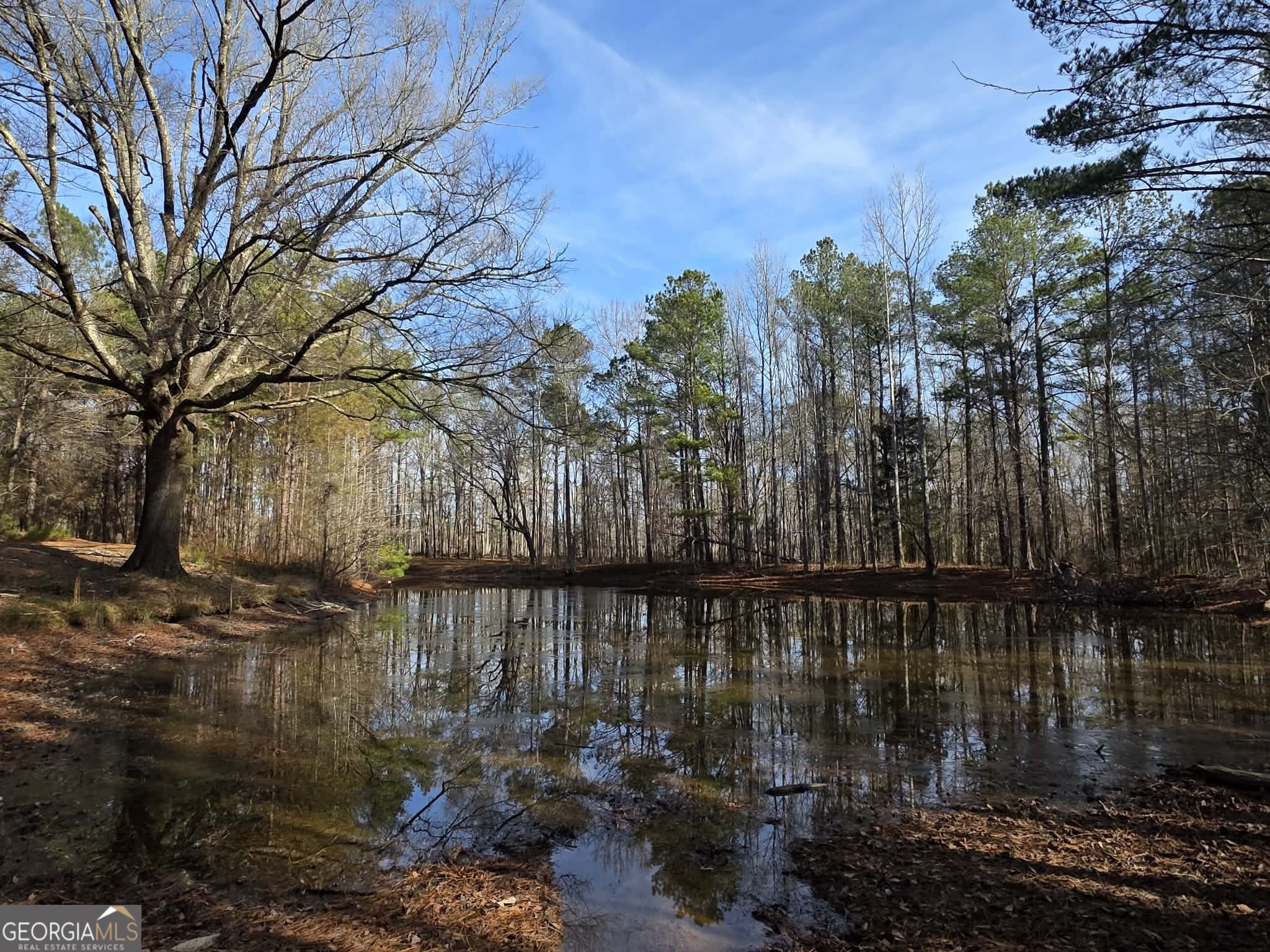 1330 Dunn Road Molena, GA 30258 - Photo 55 of 56