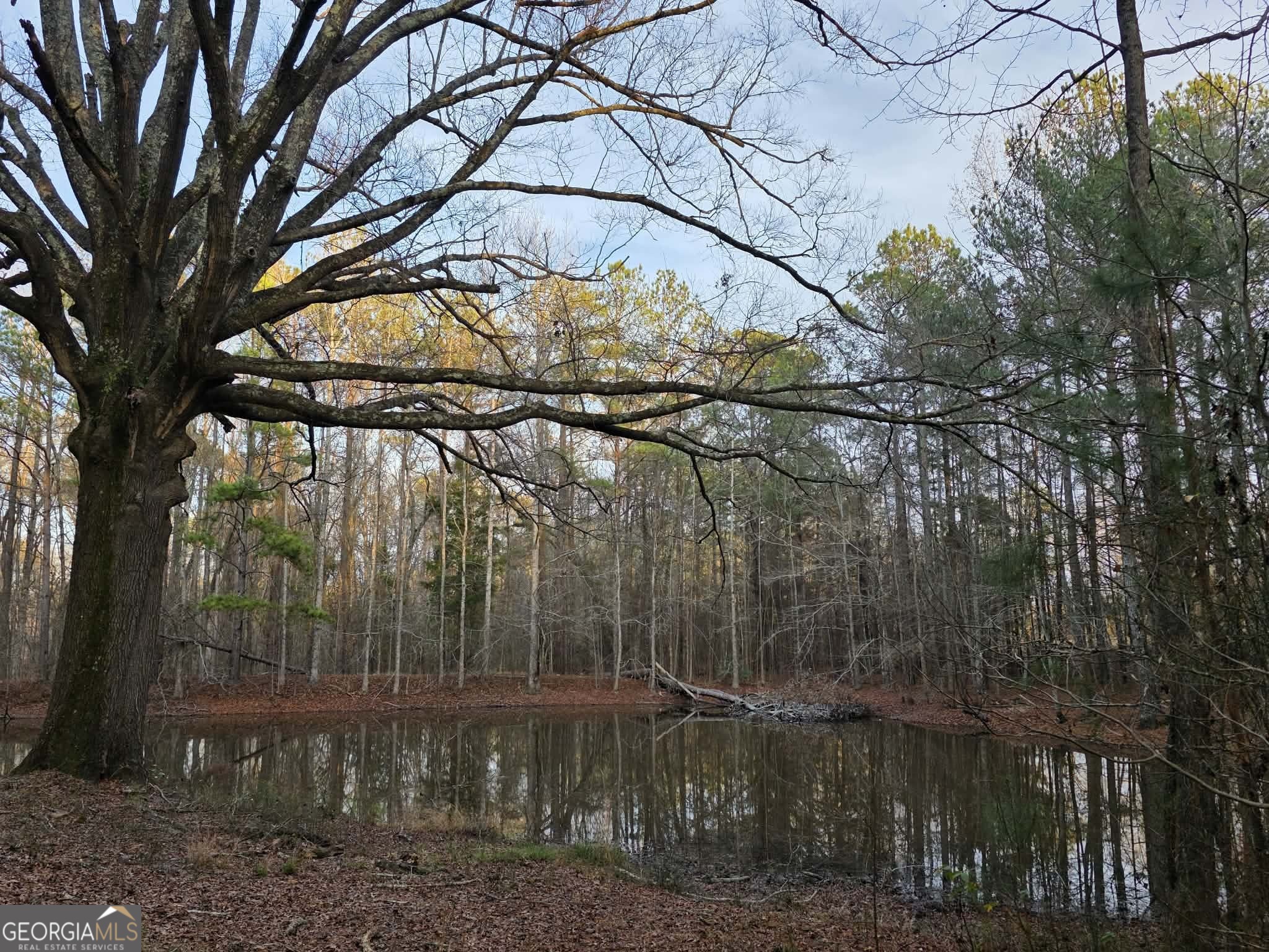 1330 Dunn Road Molena, GA 30258 - Photo 56 of 56