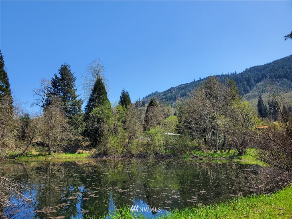 624 Highland Valley Road Morton, WA 98356 - Photo 6 of 39 Gallery Image 6
