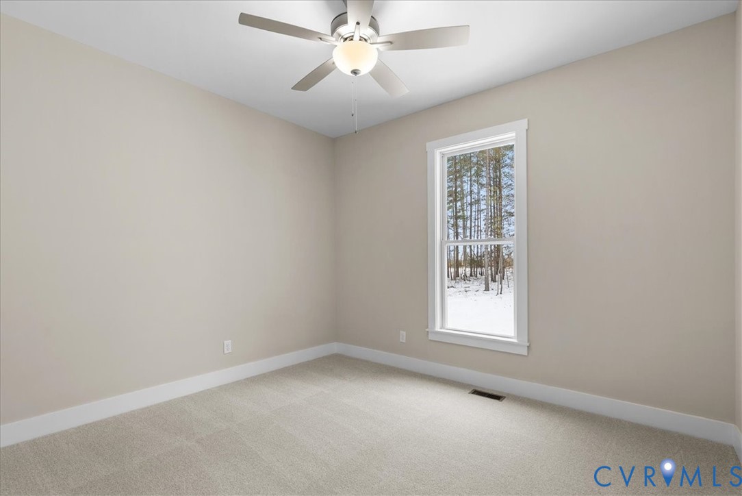 303 Deuprees Store Road Drakes Branch, VA 23937 - Photo 19 of 23 Gallery Image 19