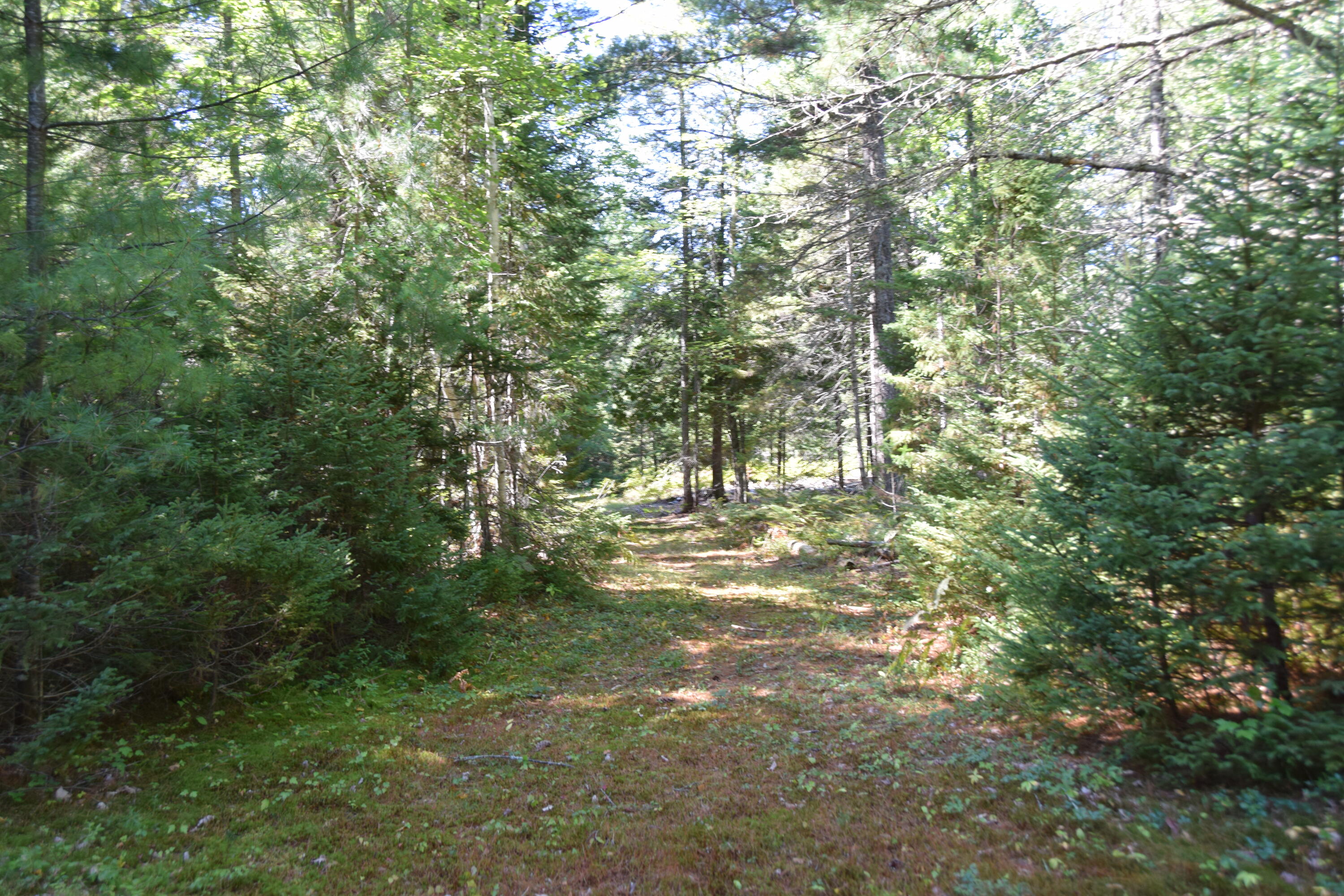 71 Birch Road New Portland, ME 04961 - Photo 61 of 100 DSC_0041