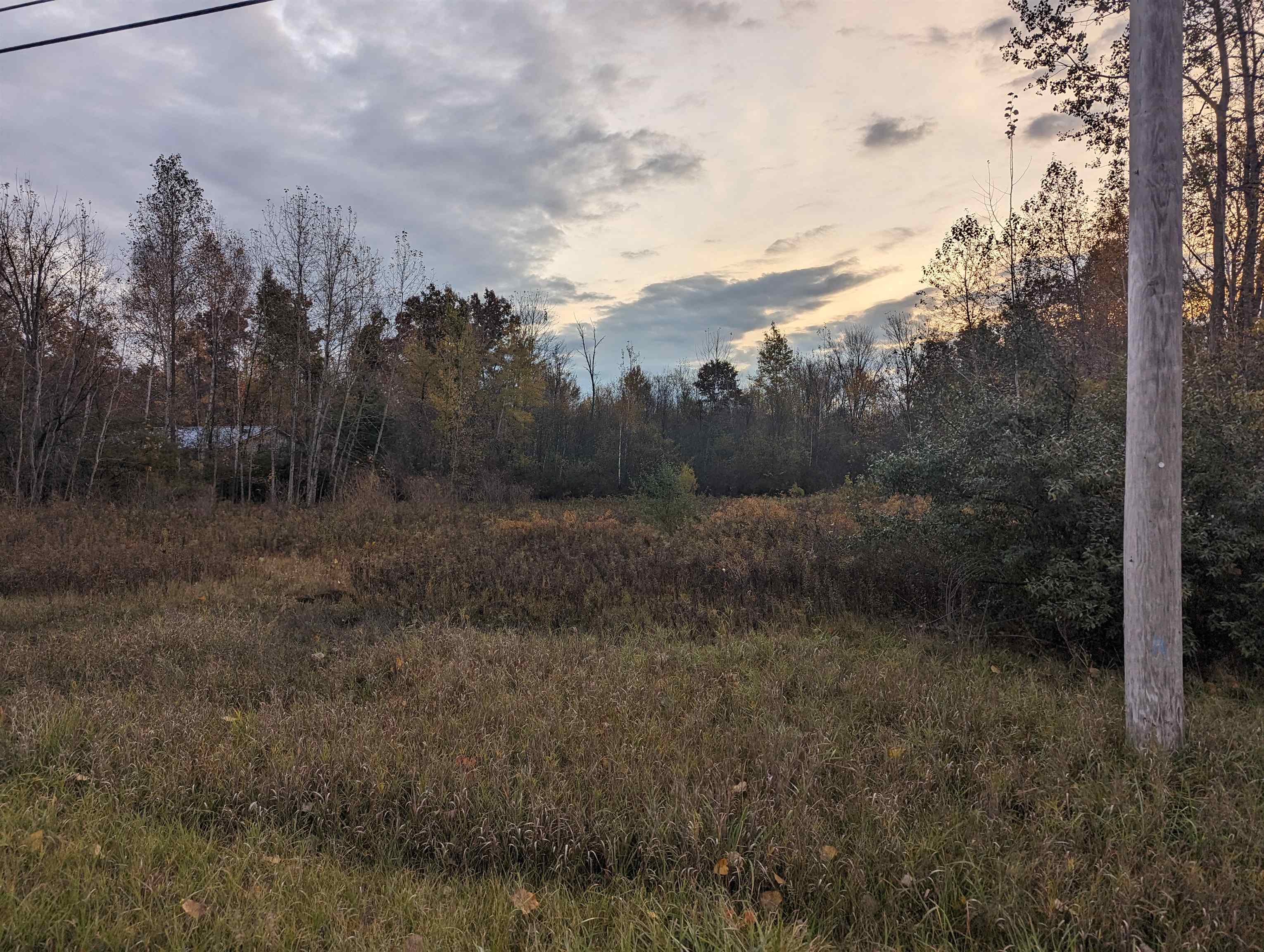 N/a South Hale Road Omer, MI 48749 - Photo 4 of 6