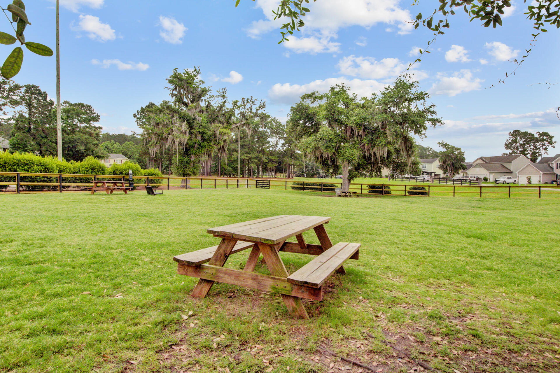 117 Red Leaf Boulevard Moncks Corner, SC 29461 - Photo 84 of 116 (33)