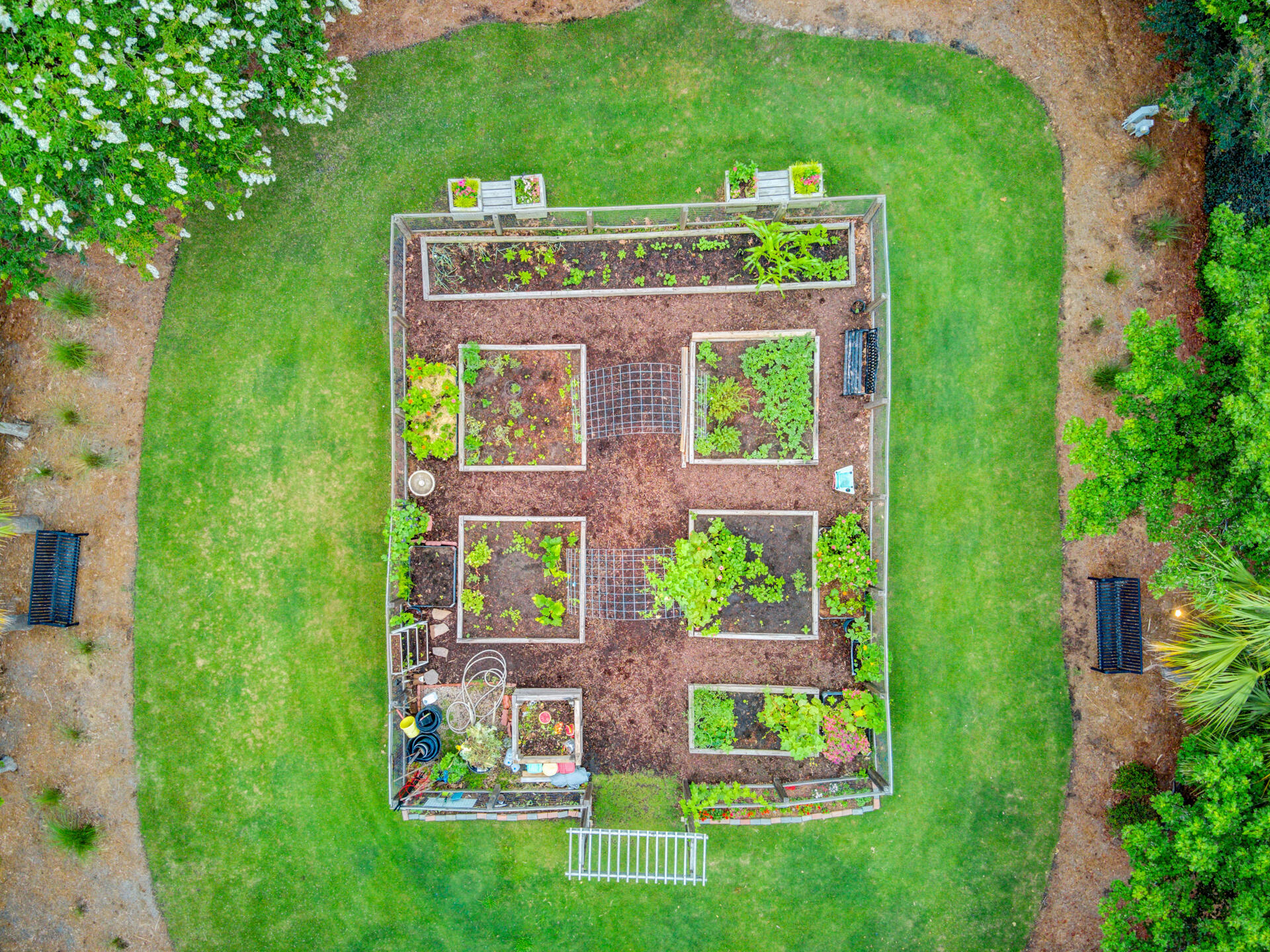 117 Red Leaf Boulevard Moncks Corner, SC 29461 - Photo 86 of 116 (35)