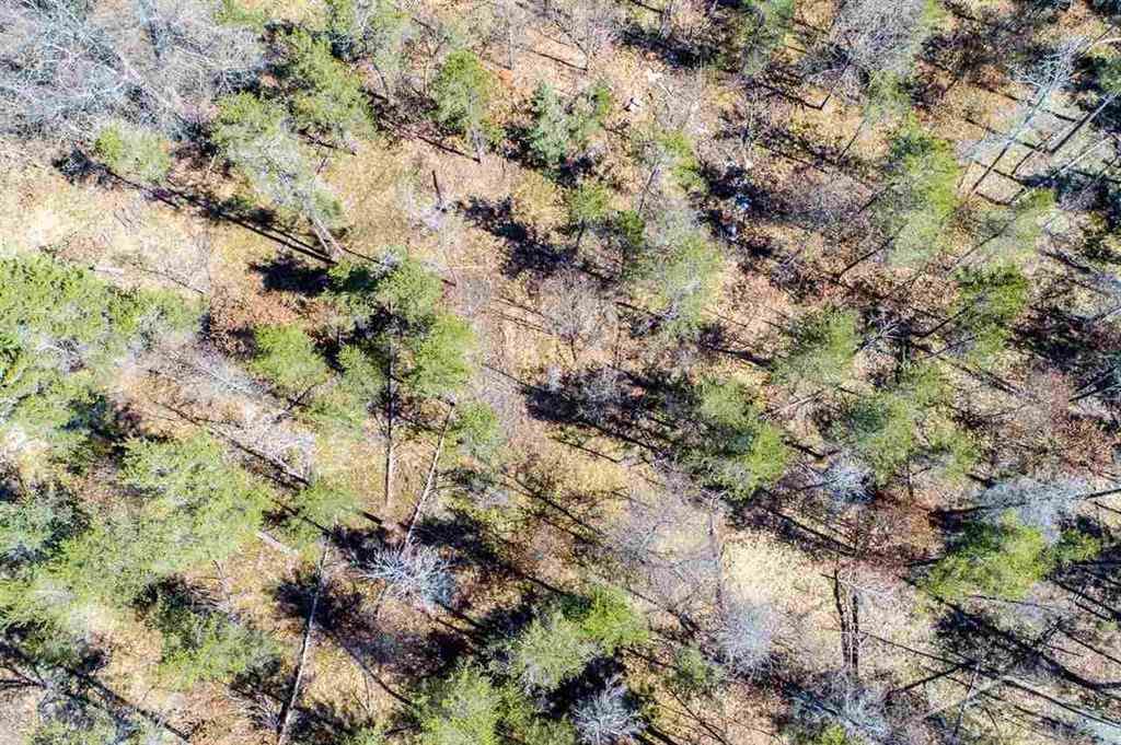 Vl South Whirlpool Road Grayling, MI 49738 - Photo 7 of 21 Gallery Image 7