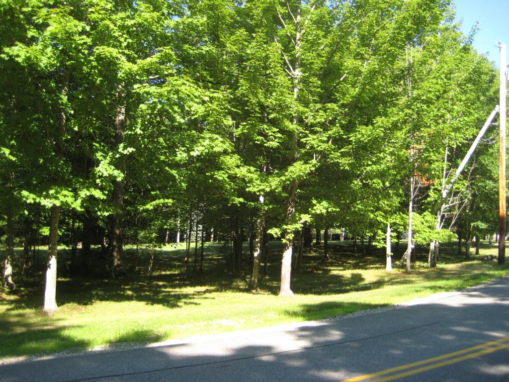 173-005 Waumbeck Road Wolfeboro, NH 03894 - Photo 2 of 10