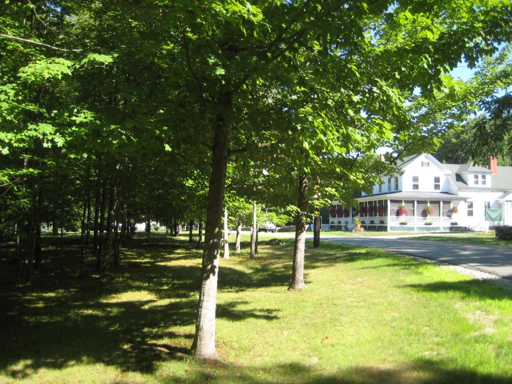 173-005 Waumbeck Road Wolfeboro, NH 03894 - Photo 6 of 10