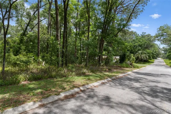 a view of backyard with green space