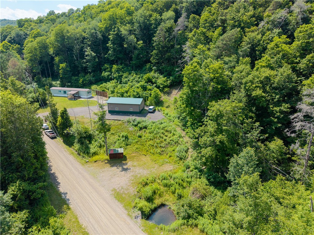 4565 Reservoir Road Avoca, NY 14809 - Photo 5 of 40