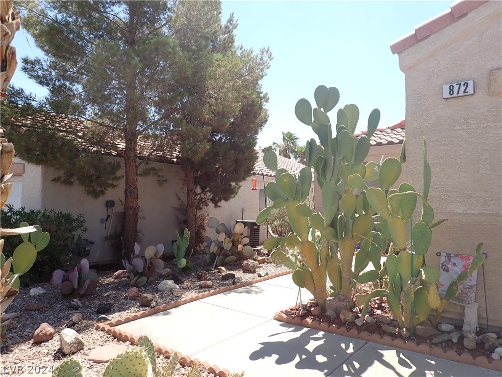 872 Adobe Flat Drive Henderson, NV 89011 - Photo 33 of 44 Low Maintenance Desert Landscaping