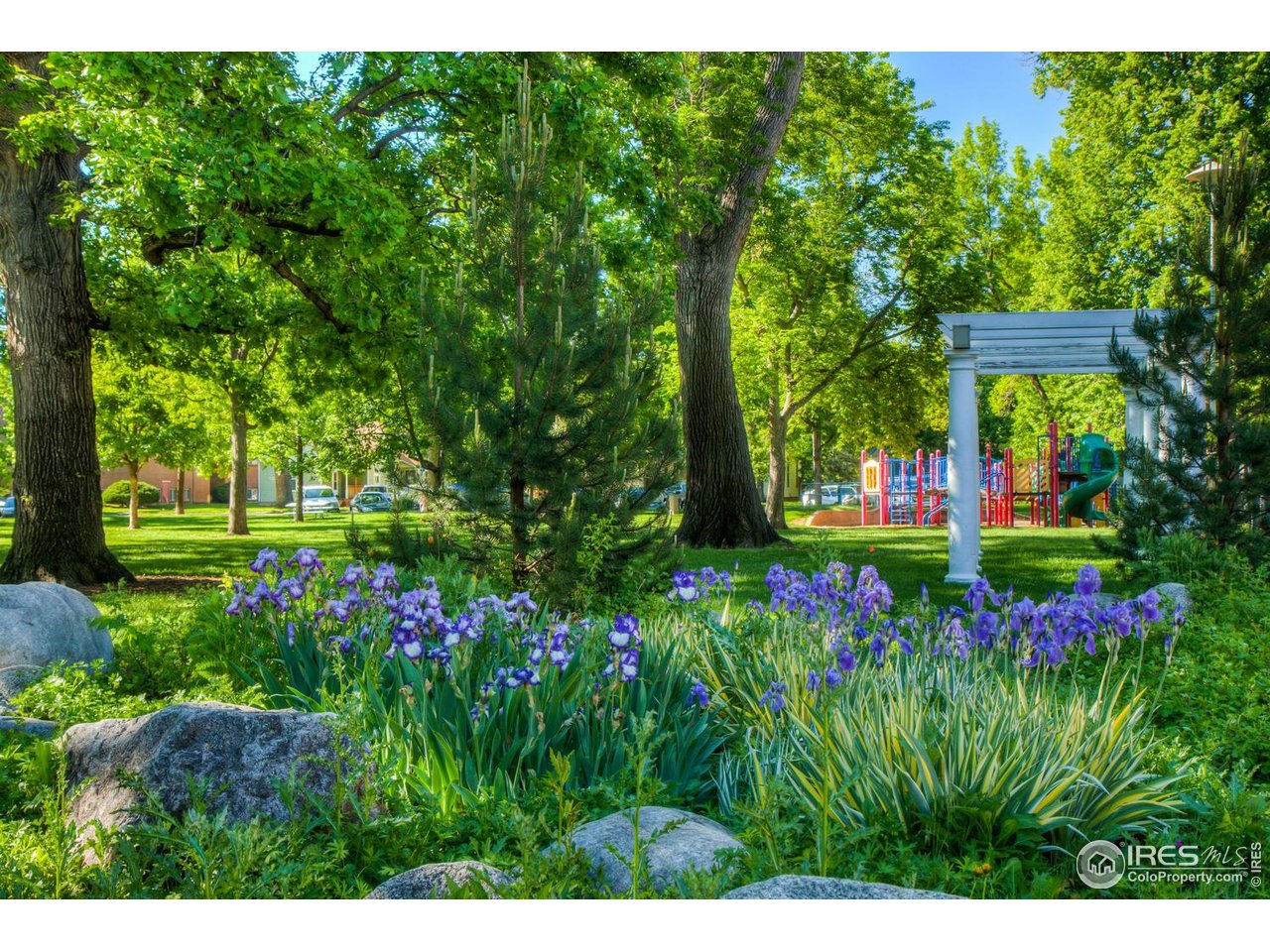 155 Mathews Street Fort Collins, CO 80524 - Photo 24 of 25 Summertime in Library Park, adjacent to La Vie Lumiere.